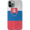 Slovakia Flag Distressed iPhone 11 Pro Lite Case